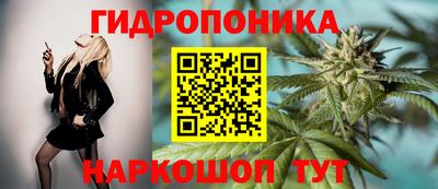 ПСИЛОЦИБИНОВЫЕ ГРИБЫ Апшеронск