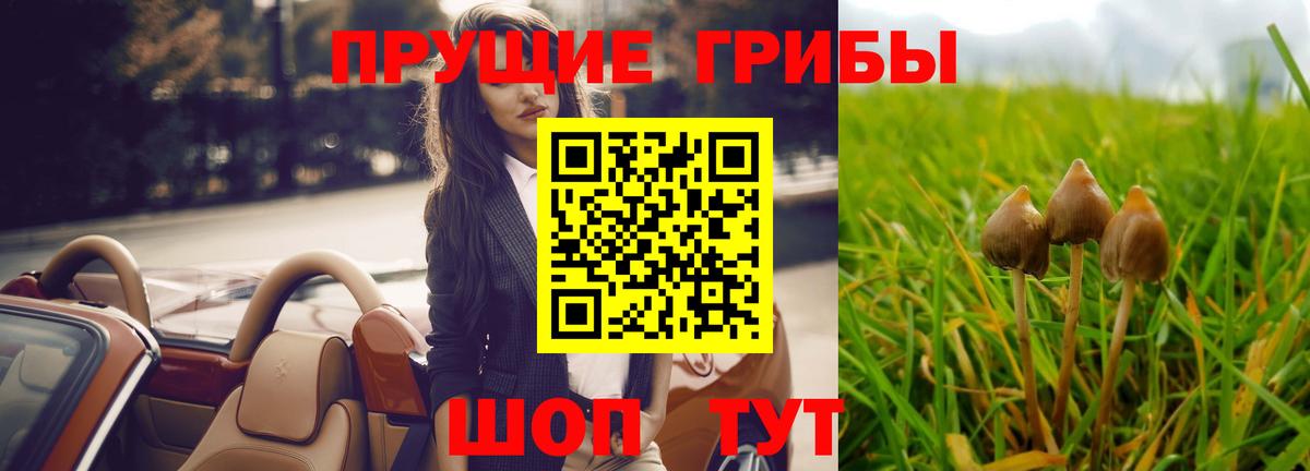 Псилоцибиновые грибы мухоморы  Вход с VPN  Богородск  Псилоцибиновые грибы MAGIC MUSHROOMS 