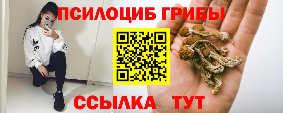 Галлюциногенные грибы прущие грибы Богородск